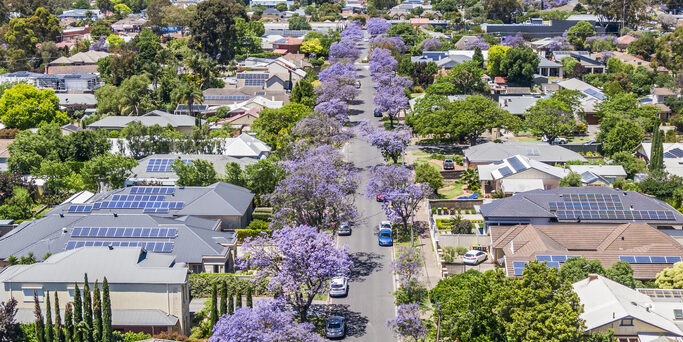 Jacaranda lined street in Adelaide